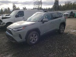 2023 Toyota Rav4 XLE for sale in Graham, WA