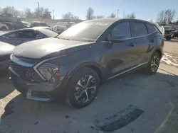 Salvage cars for sale at Bridgeton, MO auction: 2024 KIA Sportage EX