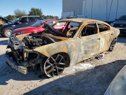 Salvage cars for sale at Apopka, FL auction: 2022 Dodge Charger R/T