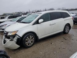 Salvage cars for sale at Louisville, KY auction: 2014 Honda Odyssey EXL