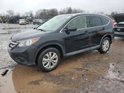 Salvage cars for sale at Pennsburg, PA auction: 2012 Honda CR-V EXL