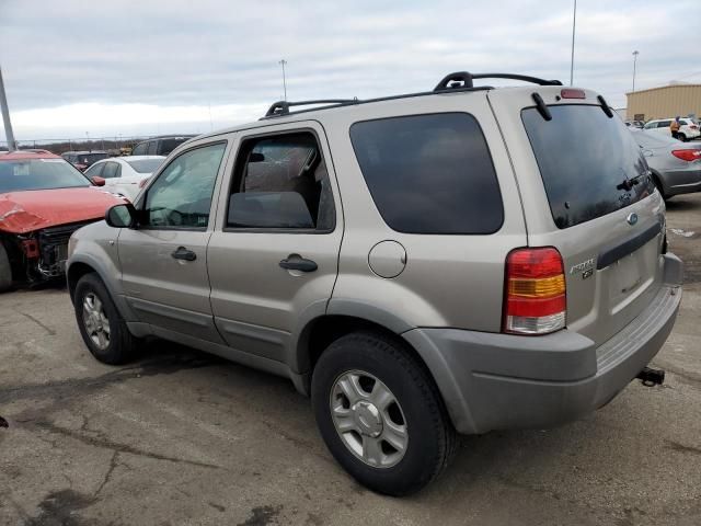 2001 Ford Escape XLT