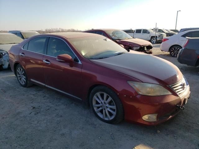 2010 Lexus ES 350