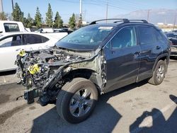 Salvage cars for sale at Rancho Cucamonga, CA auction: 2023 Toyota Rav4 XLE