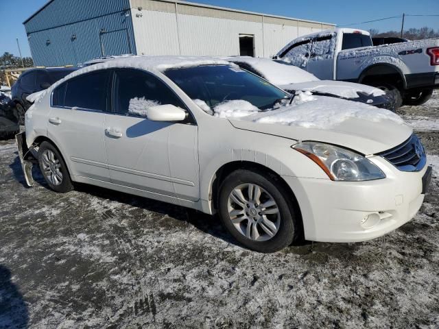 2010 Nissan Altima Base