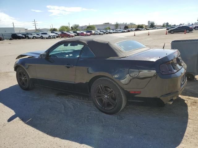 2013 Ford Mustang