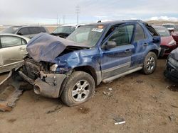 Salvage cars for sale from Copart Albuquerque, NM: 2007 Ford Escape XLT