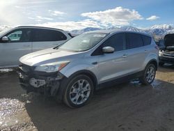 Salvage cars for sale at Magna, UT auction: 2013 Ford Escape SEL