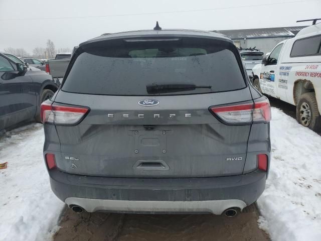 2022 Ford Escape SEL