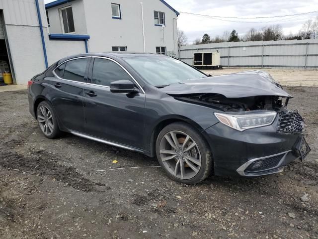 2019 Acura TLX Advance