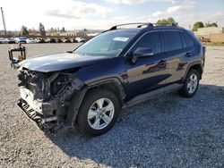 Salvage cars for sale at Mentone, CA auction: 2019 Toyota Rav4 XLE