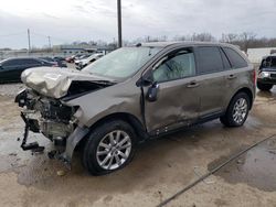 2012 Ford Edge SEL en venta en Louisville, KY