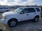 2008 Ford Escape XLT