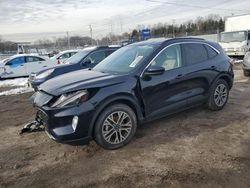 Salvage cars for sale at Baltimore, MD auction: 2021 Ford Escape SEL