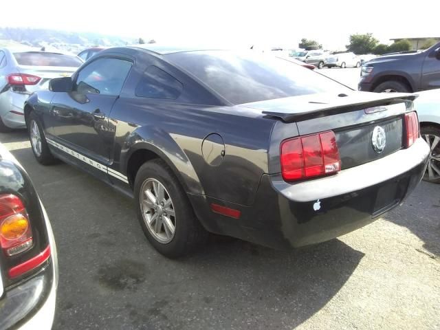 2007 Ford Mustang