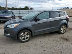 Vehiculos salvage en venta de Copart Newton, AL: 2016 Ford Escape SE