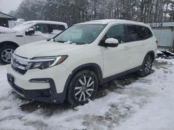 Honda Vehiculos salvage en venta: 2019 Honda Pilot EXL