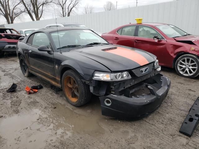 2002 Ford Mustang