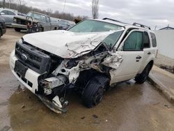 Ford Escape salvage cars for sale: 2012 Ford Escape XLT