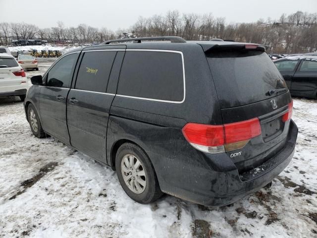 2010 Honda Odyssey EXL