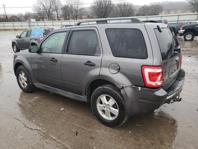 2011 Ford Escape XLT