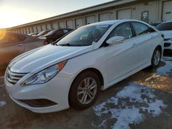 Salvage cars for sale at Louisville, KY auction: 2014 Hyundai Sonata GLS