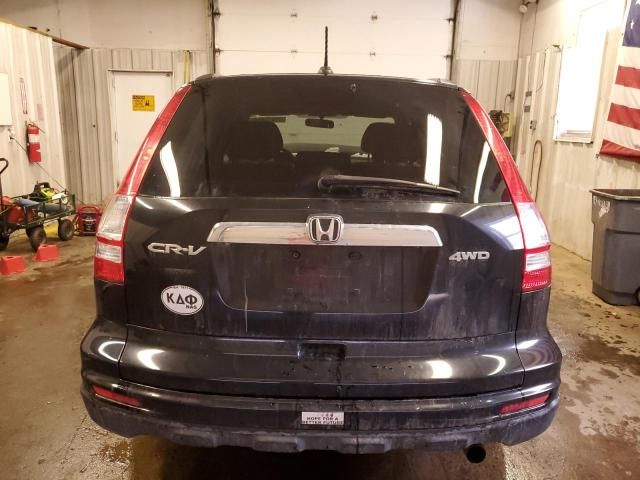 2010 Honda CR-V EXL