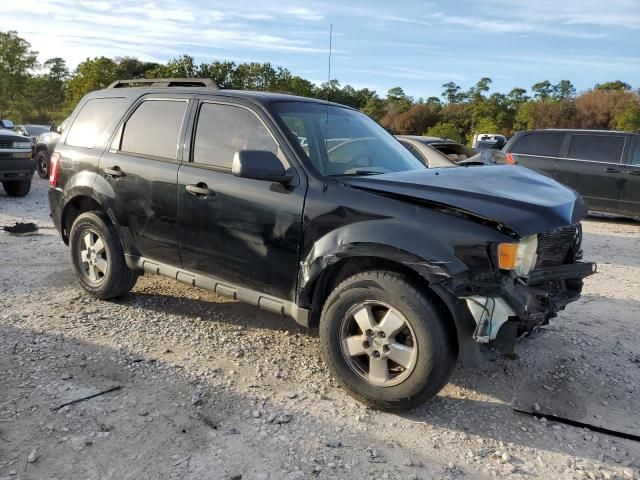 2010 Ford Escape XLS