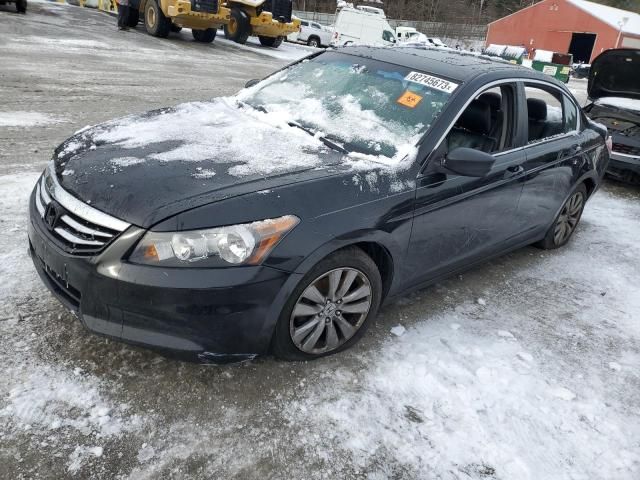 2011 Honda Accord EXL