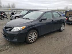 Salvage cars for sale from Copart Arlington, WA: 2013 Toyota Corolla Base