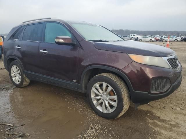 2011 KIA Sorento Base