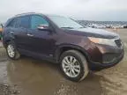 2011 KIA Sorento Base