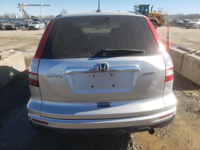 2010 Honda CR-V EXL