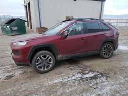 Toyota Rav4 salvage cars for sale: 2019 Toyota Rav4 Adventure