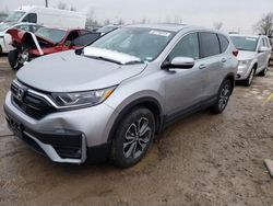 Salvage cars for sale at Dyer, IN auction: 2020 Honda CR-V EXL