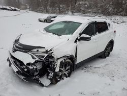 Toyota Rav4 SE salvage cars for sale: 2016 Toyota Rav4 SE