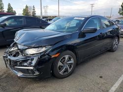 Honda Civic LX salvage cars for sale: 2019 Honda Civic LX