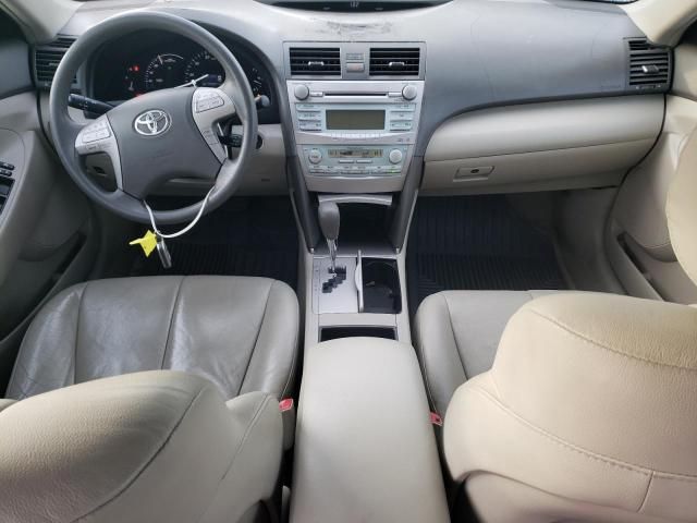 2009 Toyota Camry Hybrid