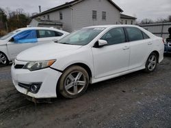 Salvage cars for sale from Copart York Haven, PA: 2013 Toyota Camry L
