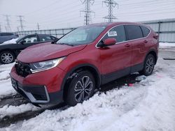 Salvage cars for sale at Elgin, IL auction: 2022 Honda CR-V EXL