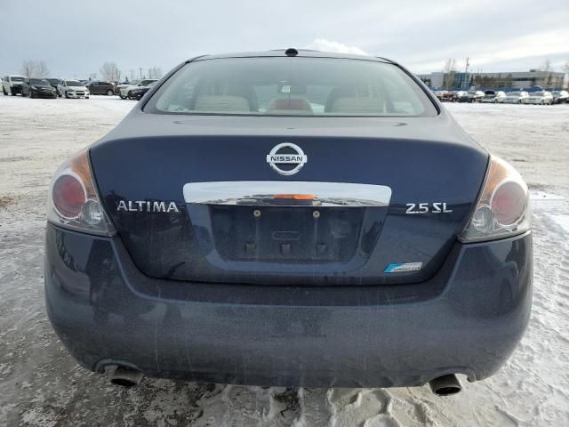 2010 Nissan Altima Base