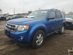 Ford Escape XLT salvage cars for sale: 2012 Ford Escape XLT