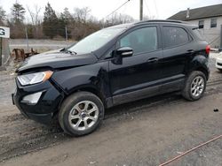 Salvage cars for sale at York Haven, PA auction: 2019 Ford Ecosport SE