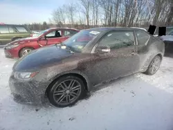 Salvage Cars with No Bids Yet For Sale at auction: 2011 Scion TC