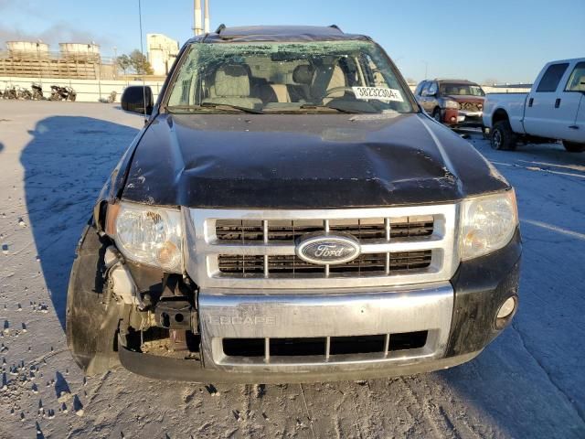 2009 Ford Escape Hybrid