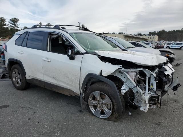 2023 Toyota Rav4 XLE