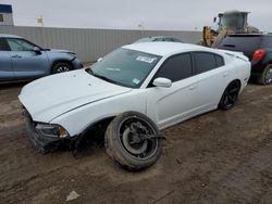 Salvage cars for sale from Copart Greenwood, NE: 2014 Dodge Charger R/T