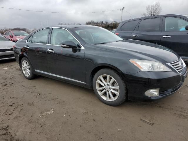 2010 Lexus ES 350