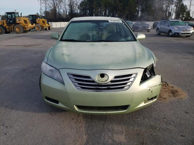 2009 Toyota Camry Hybrid