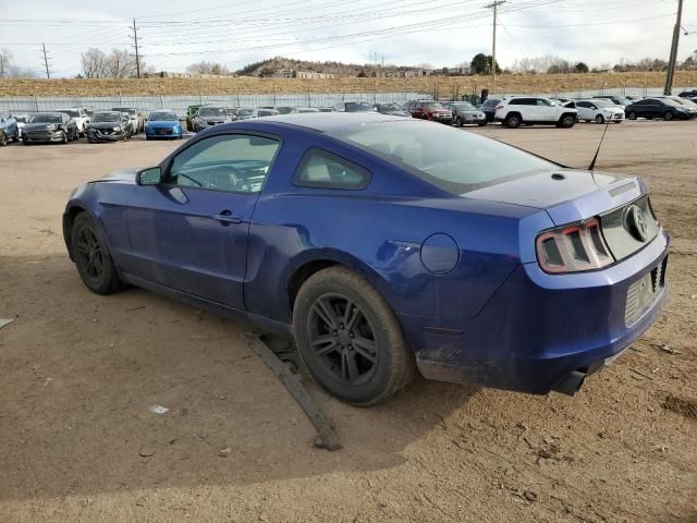 2013 Ford Mustang